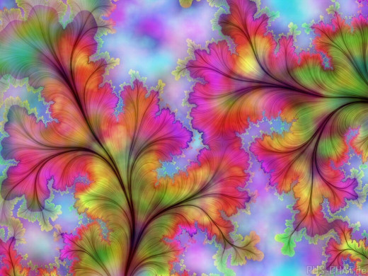 8137 (a): :1024x768
